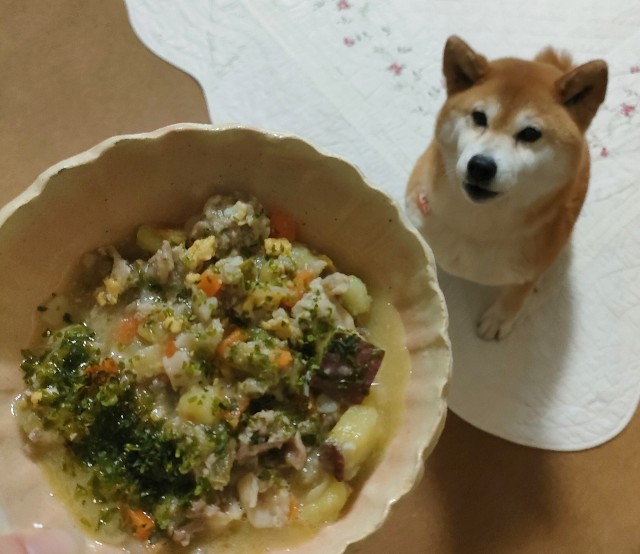 f:id:shibainumugi:20250602123606j:image