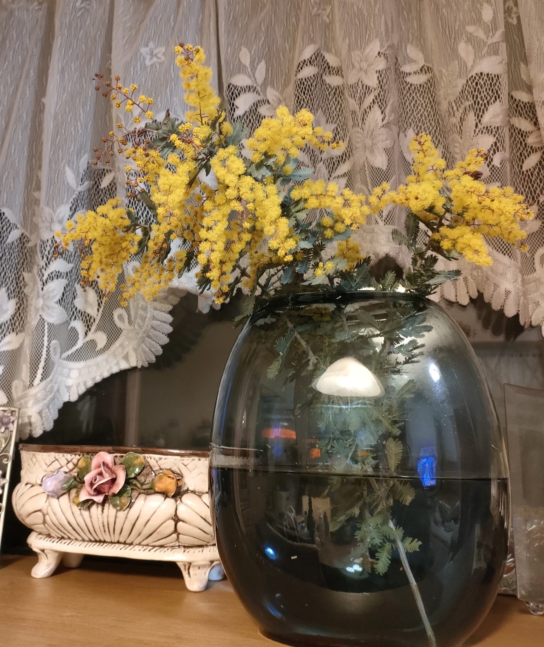 f:id:shibainumugi:20260314213806j:image