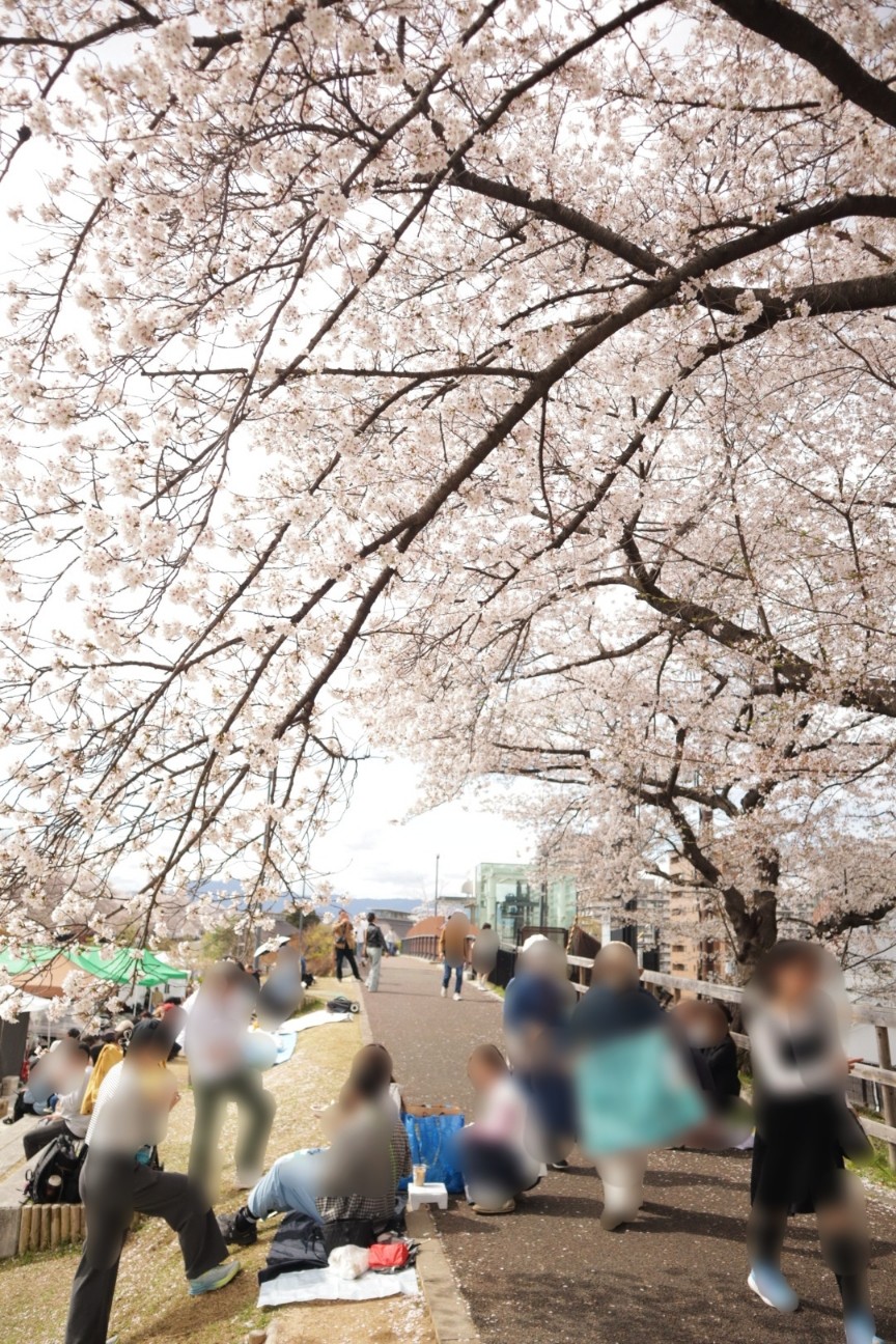 f:id:shibainumugi:20260406145539j:image