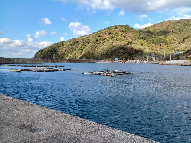 f:id:shibainutom:20241210100939j:image