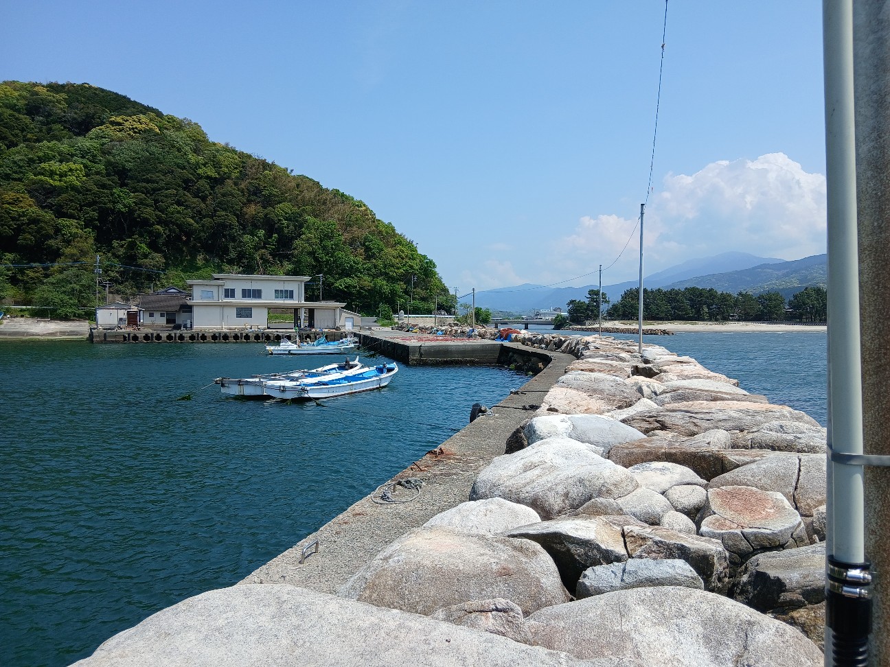 f:id:shibainutom:20260427190256j:image f:id:shibainutom:20260427190256j:image