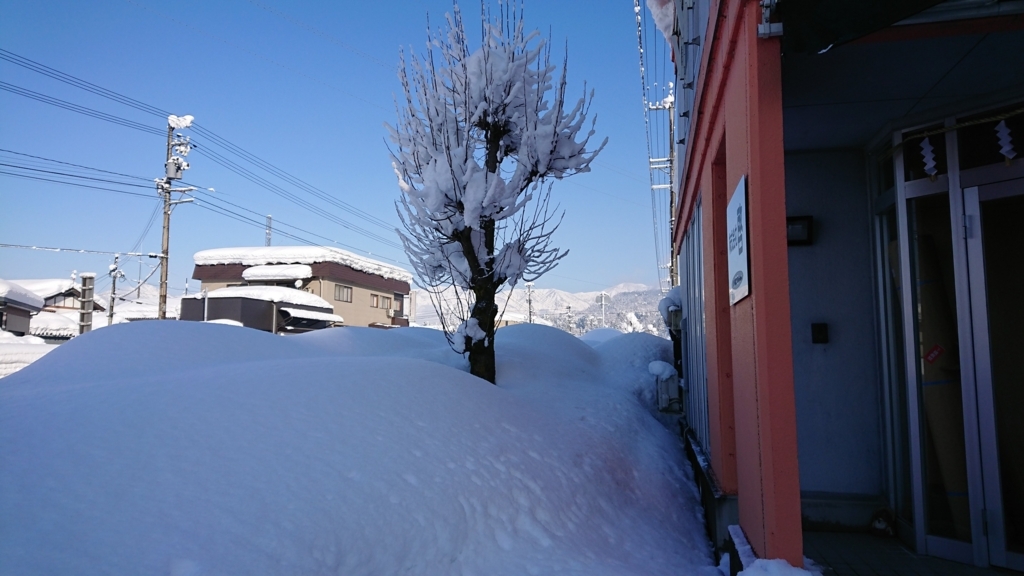 f:id:shibako3:20180223110247j:plain f:id:shibako3:20180223110247j:plain