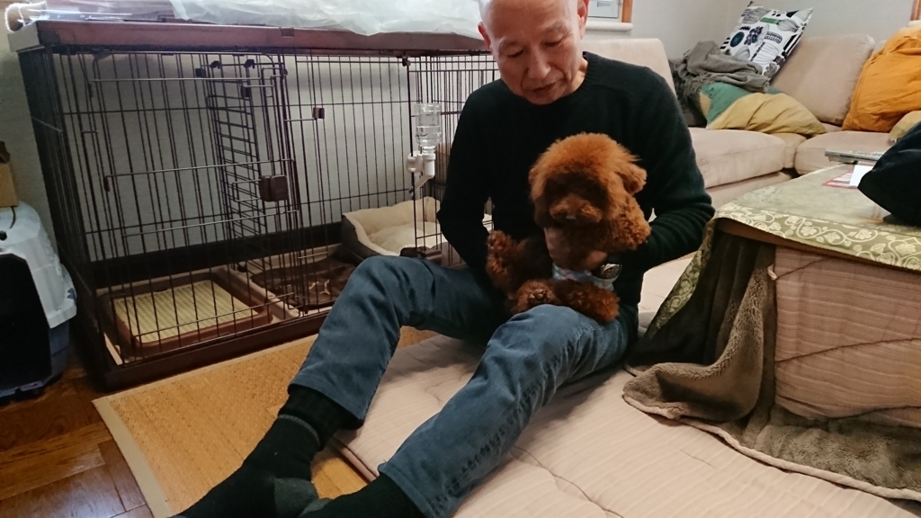 f:id:shibako3:20180319143932j:plain f:id:shibako3:20180319143932j:plain