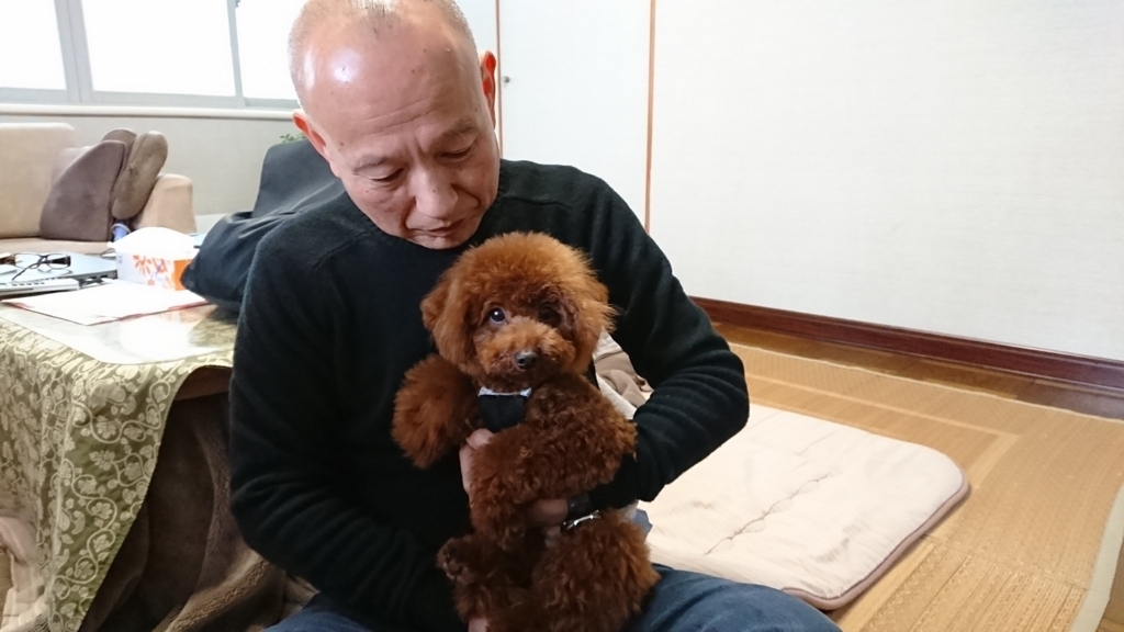 f:id:shibako3:20180319143956j:plain f:id:shibako3:20180319143956j:plain