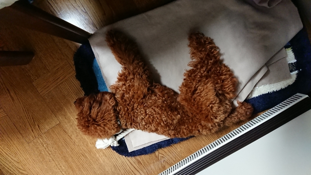 f:id:shibako3:20180319145119j:plain f:id:shibako3:20180319145119j:plain