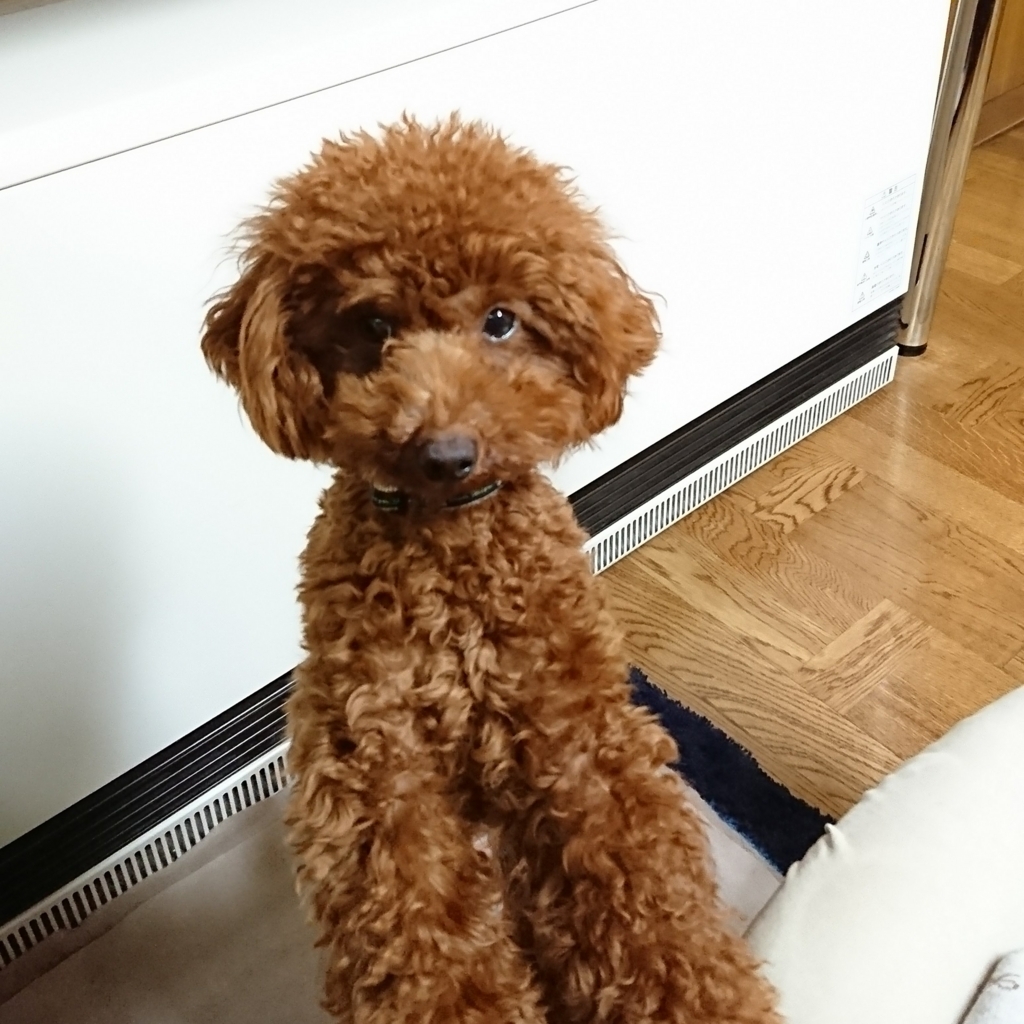 f:id:shibako3:20180319145407j:plain f:id:shibako3:20180319145407j:plain