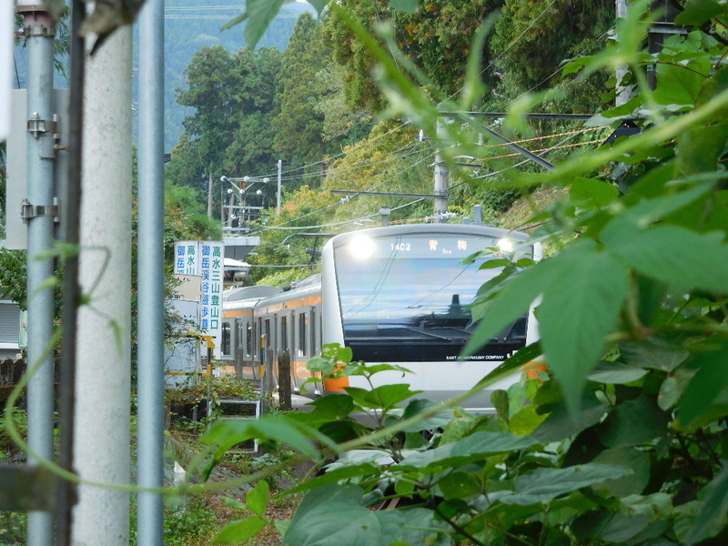 イメージ 4