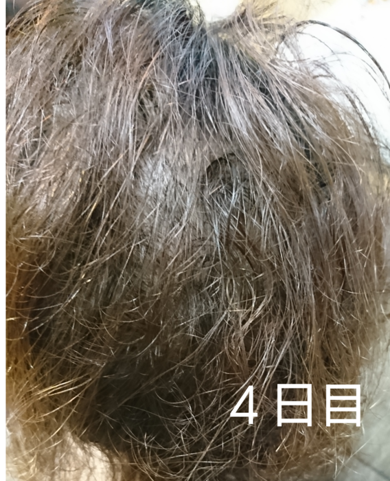 f:id:shibalog:20180914124703p:plain