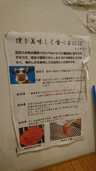 f:id:shibalog:20190209192204j:plain f:id:shibalog:20190209192204j:plain