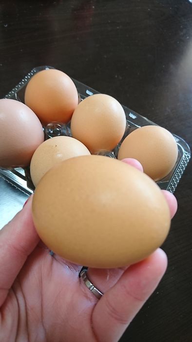 f:id:shibalog:20190317172014j:plain f:id:shibalog:20190317172014j:plain