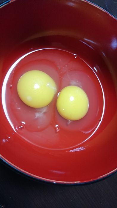 f:id:shibalog:20190318120939j:plain f:id:shibalog:20190318120939j:plain