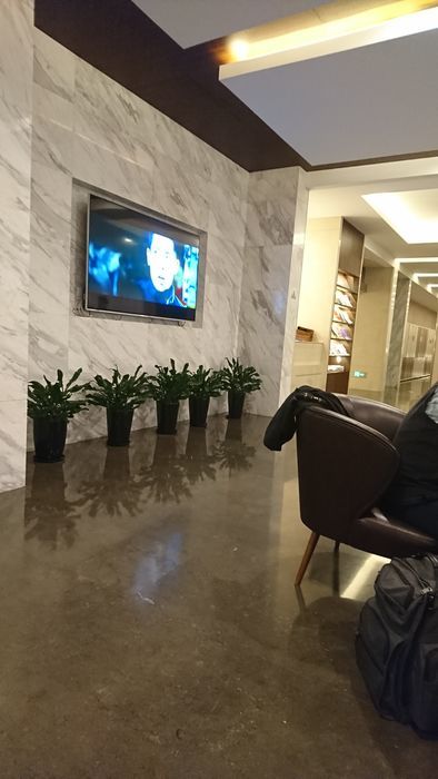 f:id:shibalog:20190403115009j:plain f:id:shibalog:20190403115009j:plain