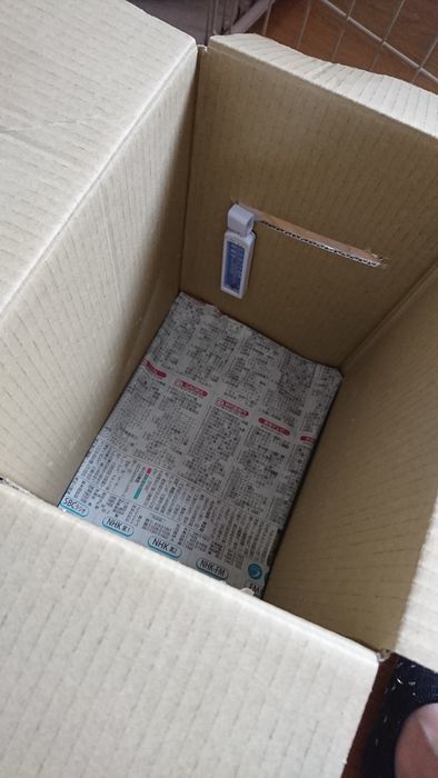 f:id:shibalog:20190608102737j:plain