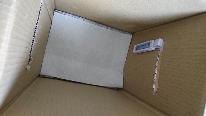 f:id:shibalog:20190608102746j:plain