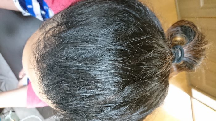 f:id:shibalog:20190702113630j:plain