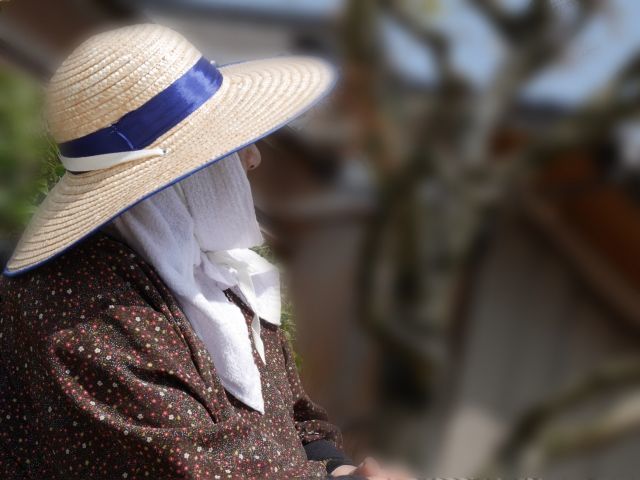 f:id:shibalog:20190804094845j:plain