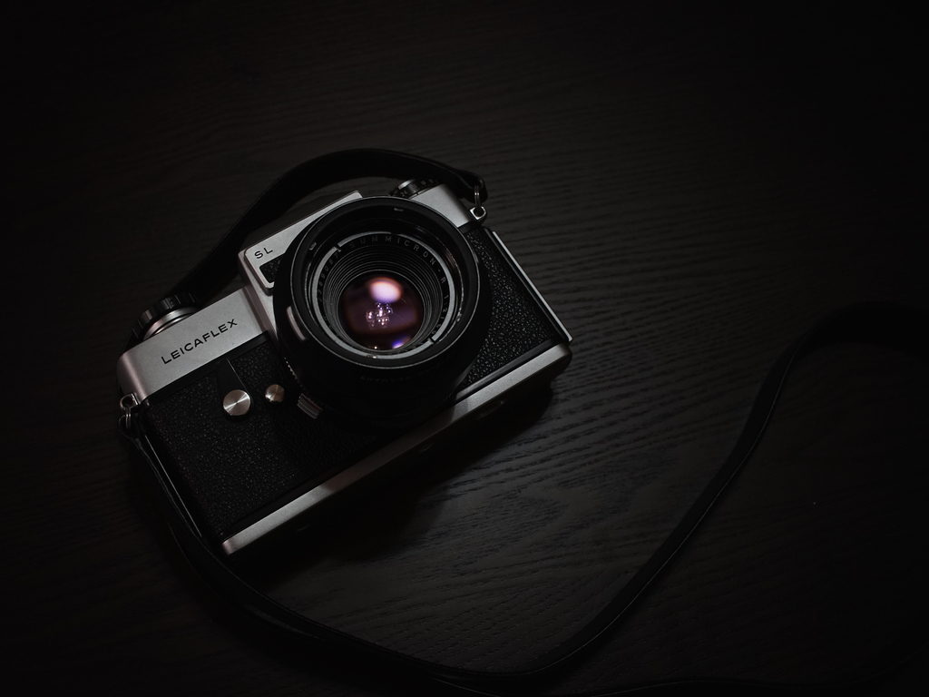 f:id:shibarutsu:20190213163747j:plain f:id:shibarutsu:20190213163747j:plain