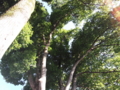 20121201122024