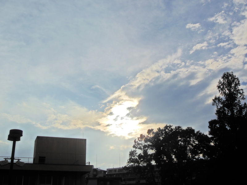 f:id:shibasaijyo:20130715174840j:image:w360