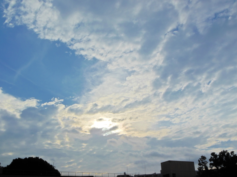 f:id:shibasaijyo:20130715175748j:image:w360