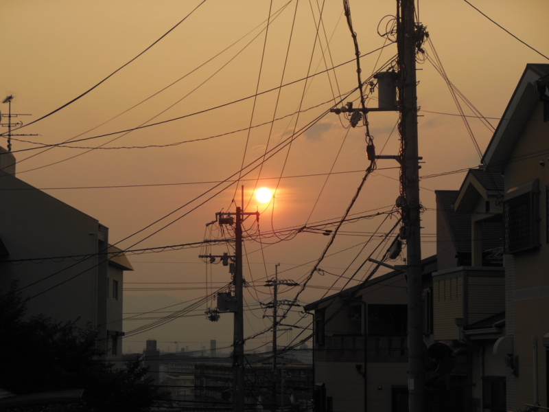 f:id:shibasaijyo:20130815182357j:image:w360