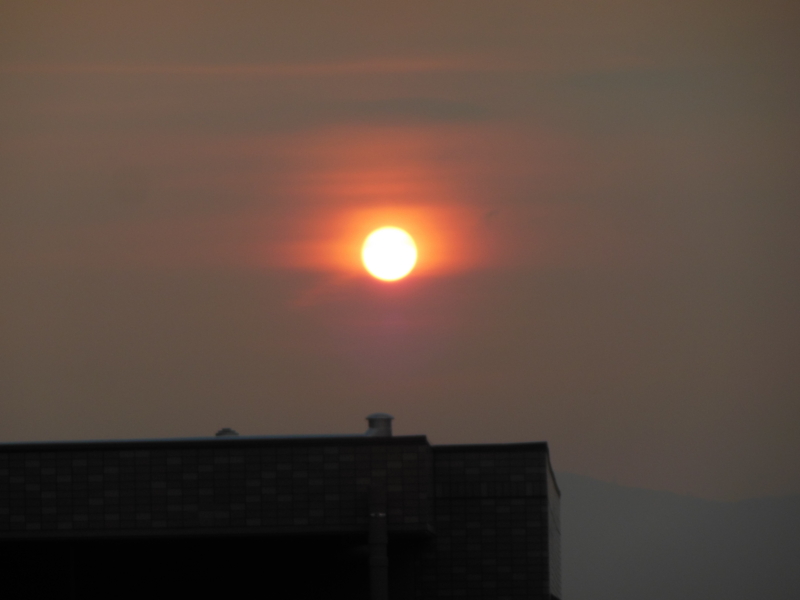 f:id:shibasaijyo:20130815183126j:image:w360