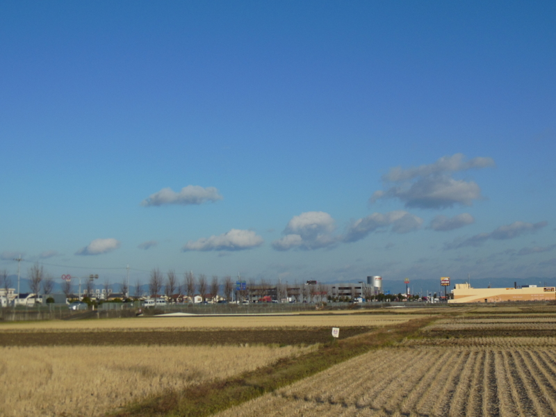 f:id:shibasaijyo:20131212084047j:image:w360