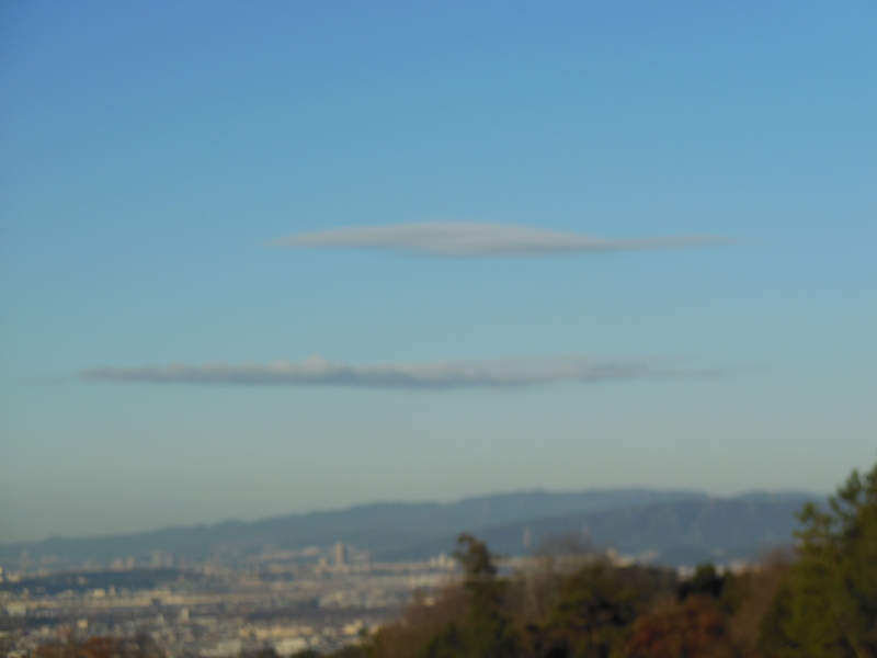 f:id:shibasaijyo:20131229081300j:image:w360