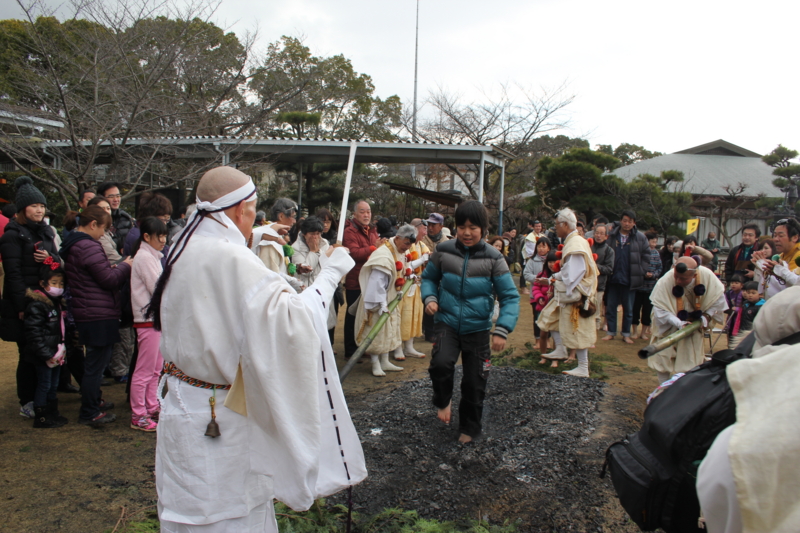 f:id:shibasaijyo:20150201131818j:image