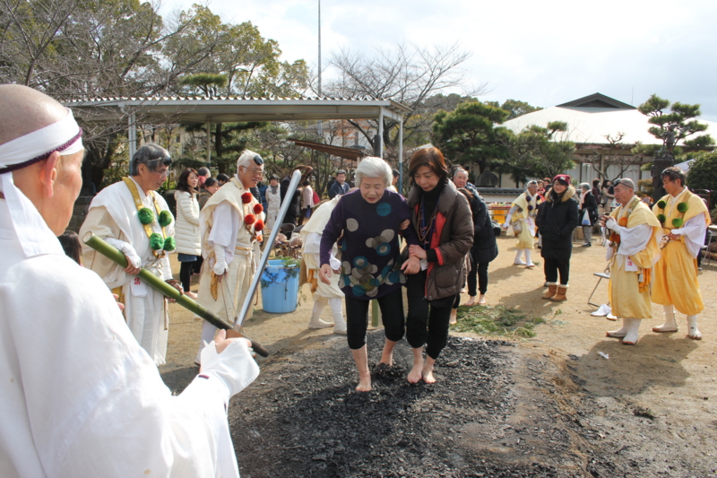 f:id:shibasaijyo:20150201133734j:image