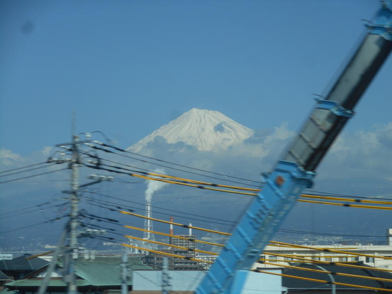 f:id:shibasaijyo:20150206113313j:image