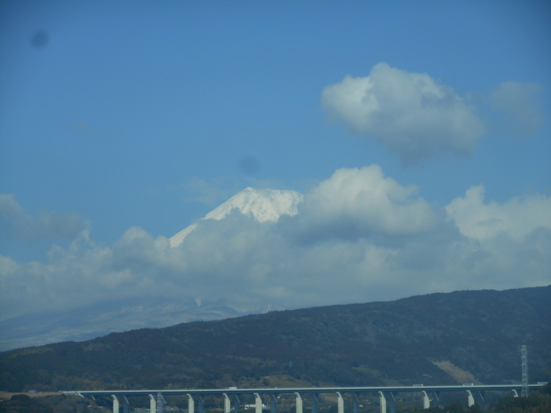 f:id:shibasaijyo:20150206113513j:image