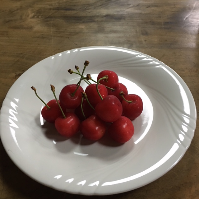 f:id:shibasaijyo:20160619095821j:image