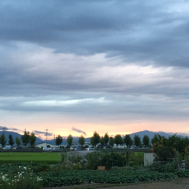 f:id:shibasaijyo:20160817183229j:image