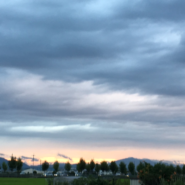 f:id:shibasaijyo:20160817183237j:image