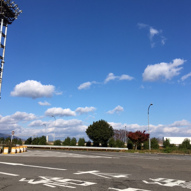 f:id:shibasaijyo:20161210125446j:image