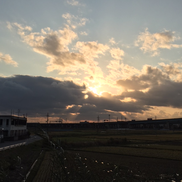 f:id:shibasaijyo:20161214160134j:image