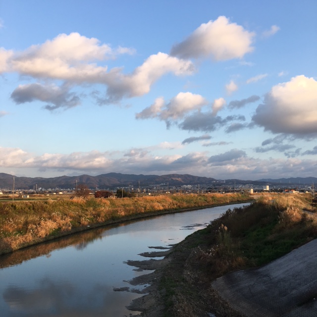 f:id:shibasaijyo:20161214160251j:image