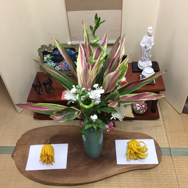 f:id:shibasaijyo:20161220141941j:image