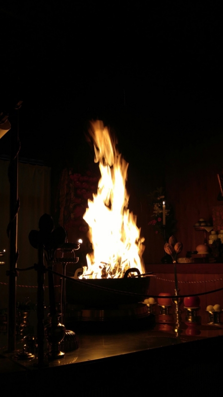 f:id:shibasaijyo:20161226045547j:image