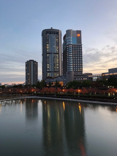 f:id:shibasaijyo:20171121170440j:image