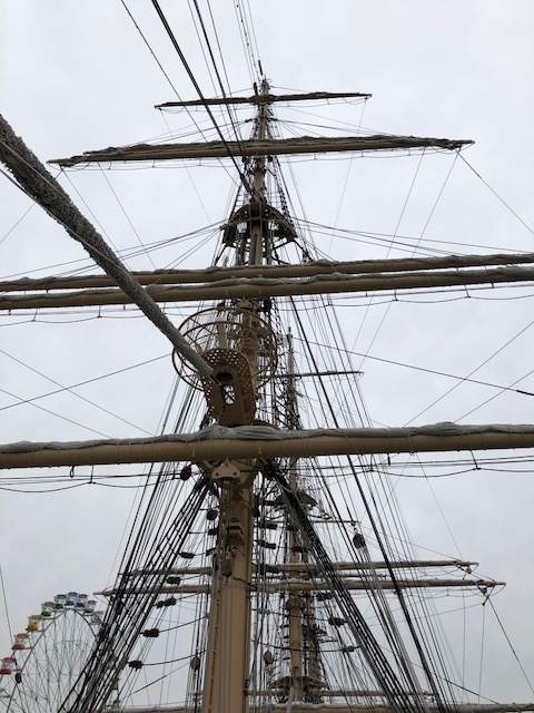 f:id:shibasaijyo:20171126103500j:image