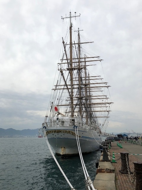 f:id:shibasaijyo:20171126104500j:image