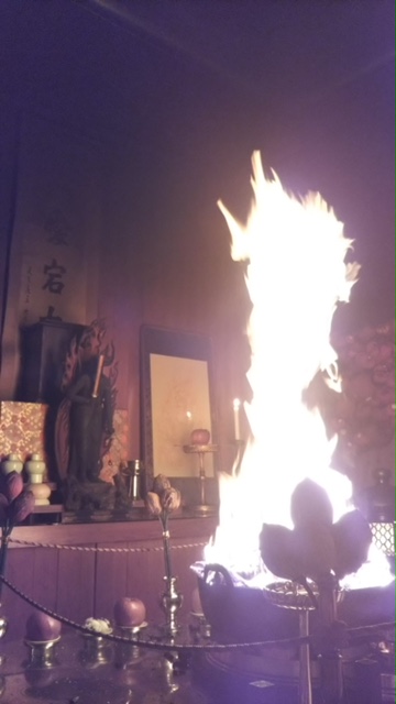 f:id:shibasaijyo:20171224052744j:image