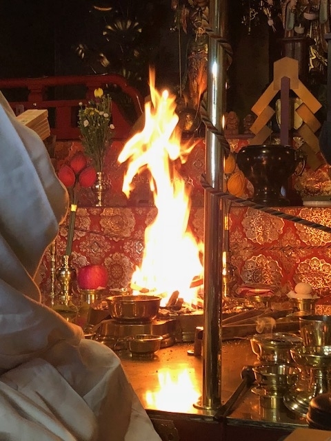 f:id:shibasaijyo:20190505110438j:plain f:id:shibasaijyo:20190505110438j:plain