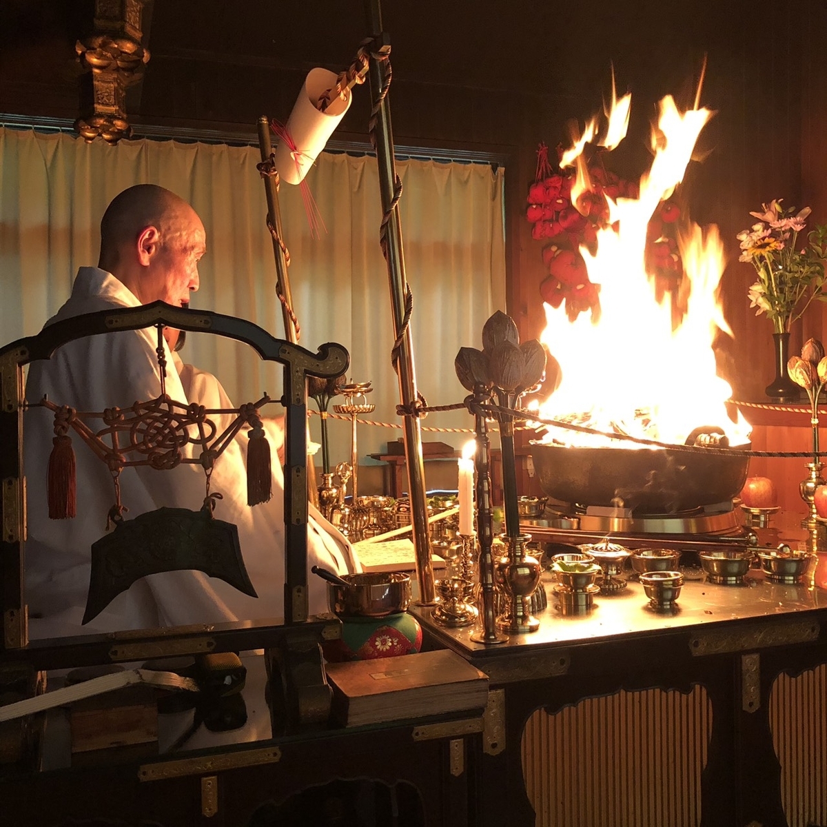 f:id:shibasaijyo:20190625052811j:plain