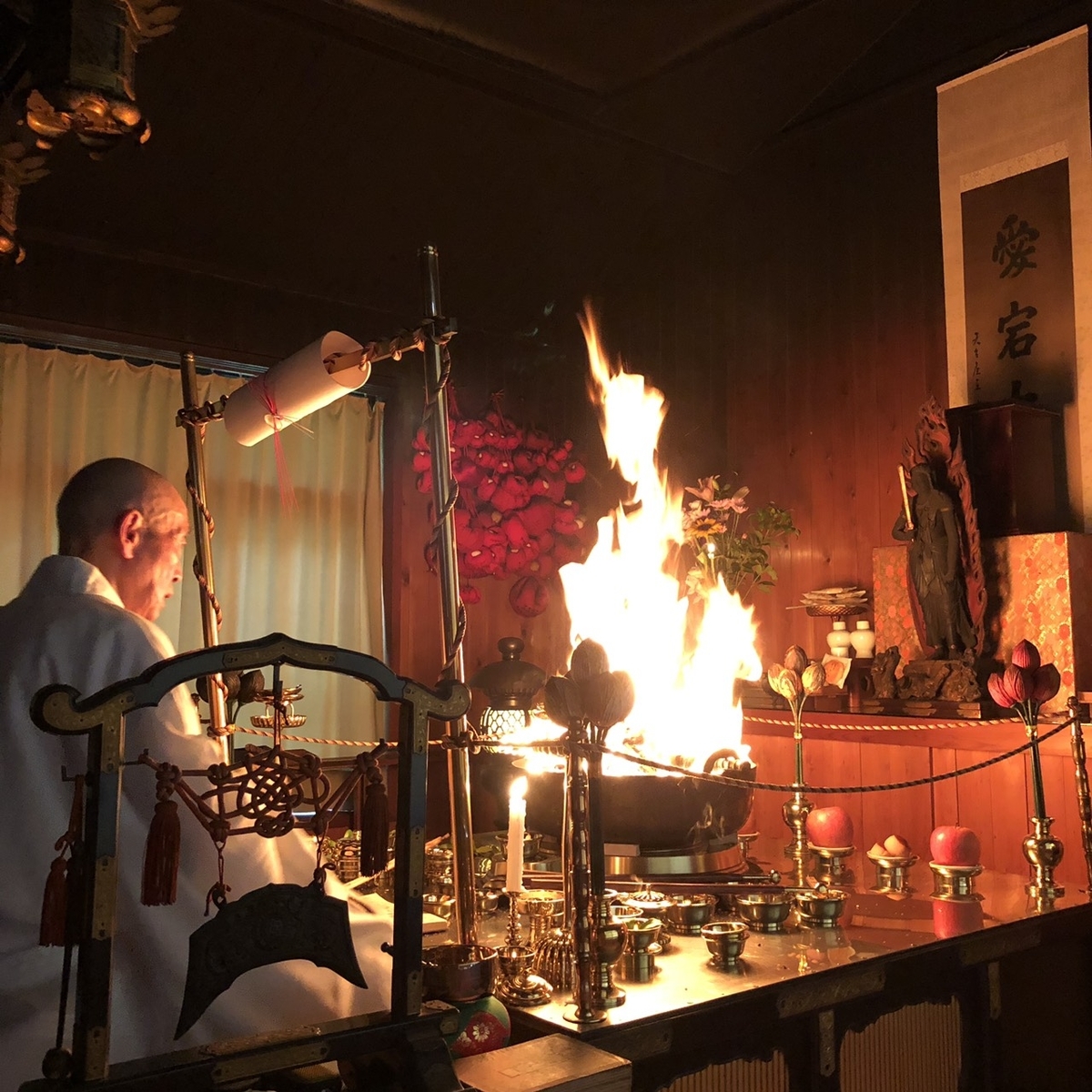 f:id:shibasaijyo:20190625052828j:plain