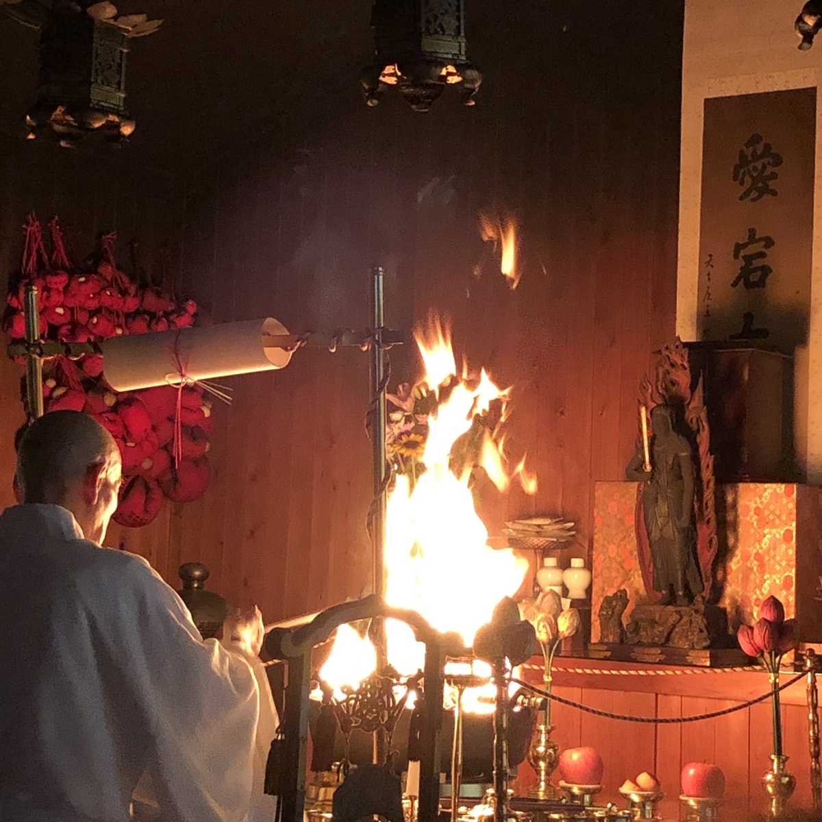 f:id:shibasaijyo:20190625052846j:plain