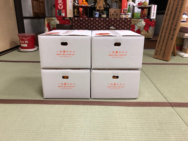 f:id:shibasaijyo:20191130123933j:plain