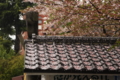 北野天満神社（後ろ風見鶏の館）